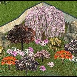 More information about "Genki's Flowering Foliage by Genkicoll"