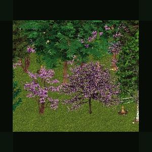 More information about "Redbud Trees by Genkicoll"