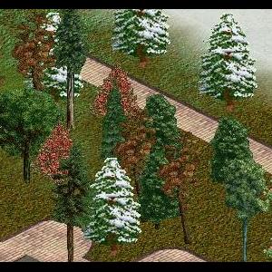 More information about "Foliage Pack by Dawn"