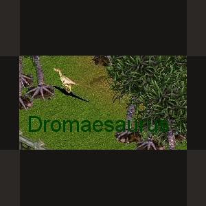 More information about "Dromaeosaurus by Moondawg"