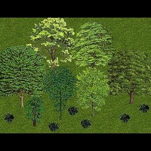 More information about "Temperate Forest Pack ("Forested Foliage") by Genkicoll"