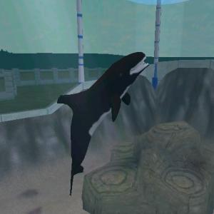 More information about "Pygmy Killer Whale ZT2 by MarineManiac"