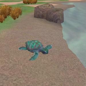 More information about "Aqua Green Sea Turtle V. by MarineManiac"
