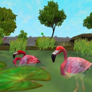 More information about "Caribbean Flamingo by Marine Maniac"