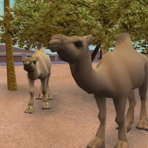More information about "Camel Variant by Animalover"