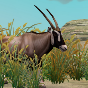 More information about "Gemsbok Variant by Animalover44"