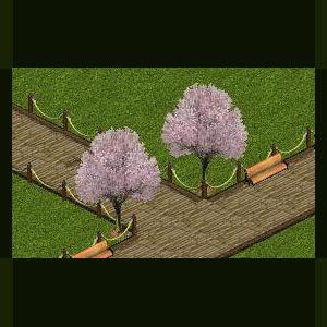 More information about "Flowering Plum Tree by Stormy"