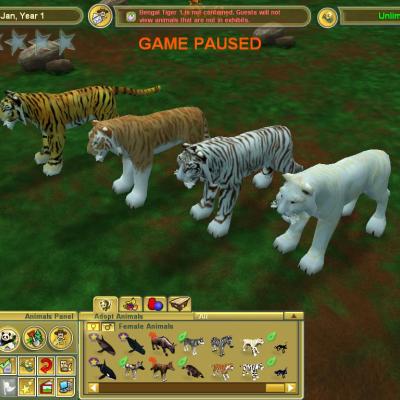 Zoo Tycoon 3: Siberian Tiger 