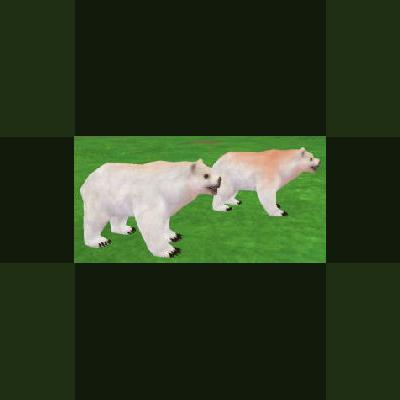 Zoo Tycoon 3: Polar Bear 