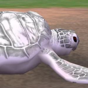 More information about "Albino Green Sea Turtle by Animalover44"