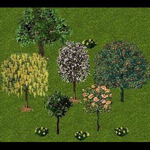 More information about "Trained and Flowering Tree Pack by Genkicoll"