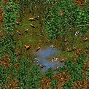 More information about "AOE2-Forest Tree by RDingFT"