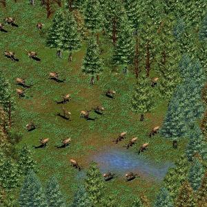 More information about "AOE2-Pines by RDingFT"