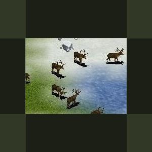 More information about "Barren Ground Caribou by Ghirin"