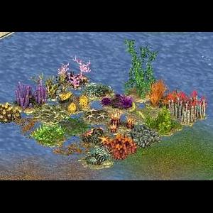 More information about "Decorative Marine Mania Foliage by Blue Fang and Fern"