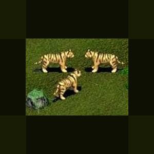 More information about "Sumatran Tiger by Moondawg"