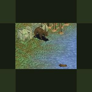 More information about "Kodiak Bear by Ghirin"