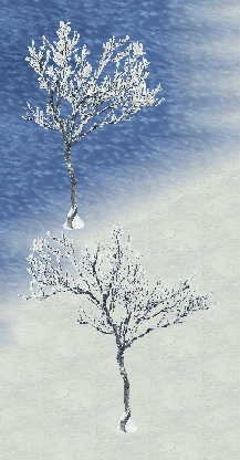 More information about "Frosted Tree by Z.Z."
