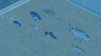 More information about "Aquarium Africa Pack by Hawkkeye"