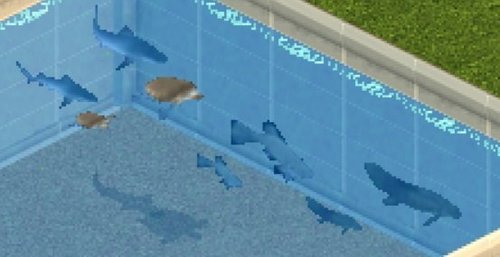 More information about "Aquarium Australia by Hawkkeye"