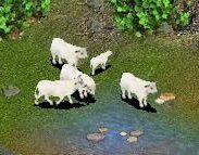 More information about "White Park Cattle by Hawkkeye"