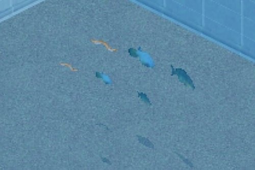 More information about "Aquarium Tanganiyka by Hawkkeye"