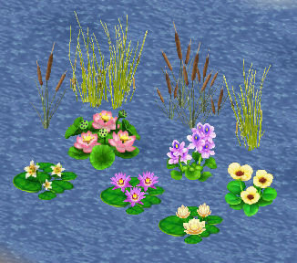 More information about "Water Plants by Z.Z."