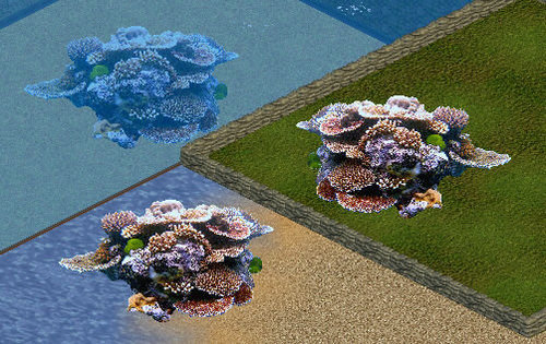 More information about "ZZ Rocks - Large Coral Reef by Z.Z."