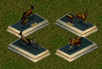 More information about "Bronze Cast Gemsbok Statue by BlackDragon"