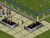 More information about "Cheetah Statue by Teppo"