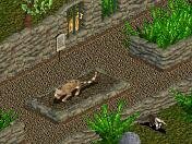 More information about "Clouded Leopard Statue by Frogman"