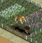 More information about "Suprise Statue  by Czar"