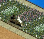 More information about "Unicorn Statue by Czar"