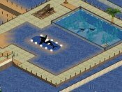 More information about "Orca Platform Statue by James 24"