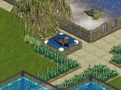 More information about "Elephant Seal Platform by James 24"