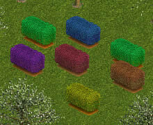 More information about "Colored Hedges by Krimmsun"