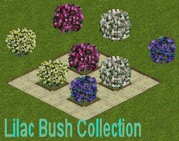 More information about "Lilac Bush Collection by Yellowrose"