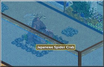 More information about "Spider Crab Rock by The Raptor Pack"
