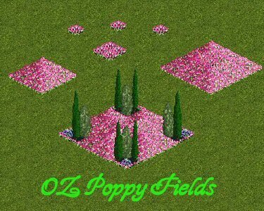 More information about "OZ Poppy Fields by Yellowrose"