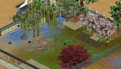 More information about "Toto by Dr. Rick"