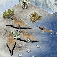 More information about "Gannetwhale by RSN"