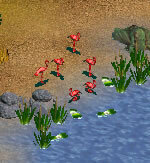 More information about "Caribbean Flamingo by Gazza"