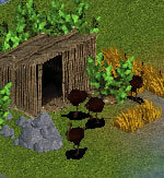 Emu by Jeremy Mulldune