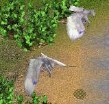 More information about "Pegasus by RSN"