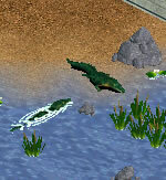 More information about "American Alligator by James Clark"