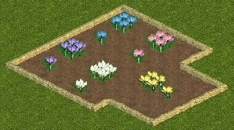 More information about "Crocus Collection by Yellowrose"