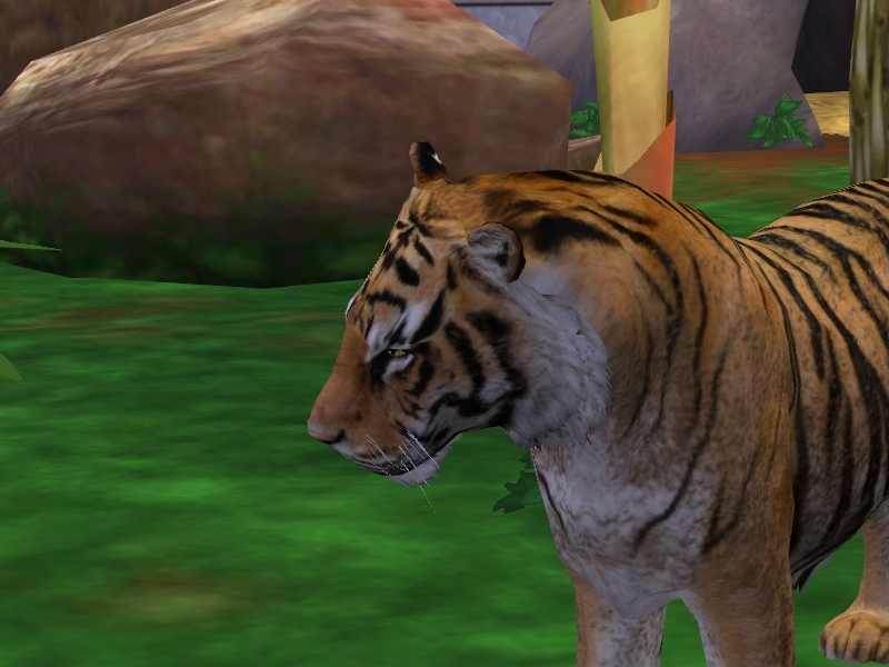 Zoo Tycoon 3: Siberian Tiger 