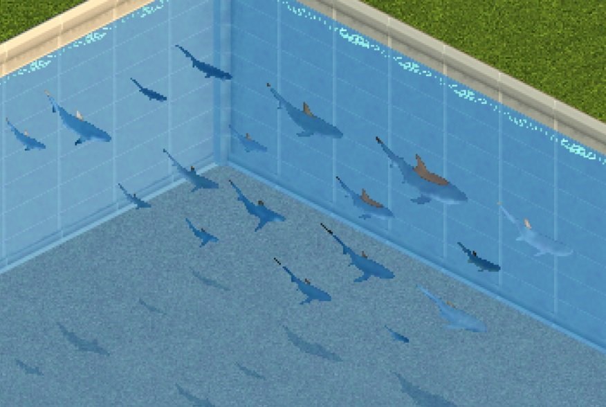 603445139_sharkpack.jpg.dc9ce3b984ce7008c20fd5190609fb75.jpg