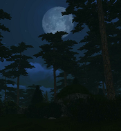 NightForest_Plaque.png.bc5a9542bef33da1b8c0aca875be166d.png