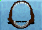Icon.png.3d04015aef682c8f6e687ee33a267c0e.png